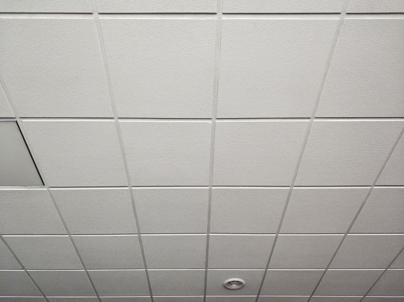 Grid Ceiling Repair detail